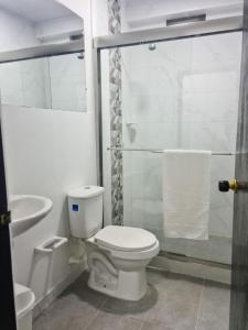 La LomaApartamento Turistico Soul的白色的浴室设有卫生间和淋浴。