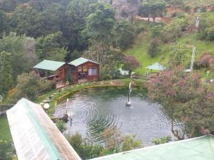 Las Cataratas Lodge内部或周边泳池景观