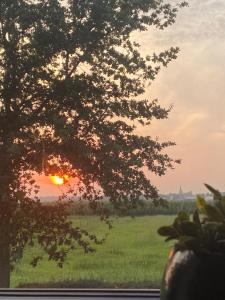法尔肯堡Vida Verde的透过窗户看到的日落,有树