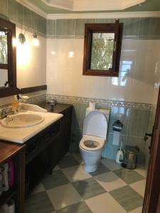 亚力卡瓦克Elegant Villas I - Kudur Villa 3的一间带卫生间、水槽和镜子的浴室
