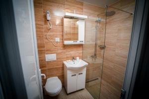 弗拉涅Prenociste ADRIA的浴室配有卫生间、盥洗盆和淋浴。