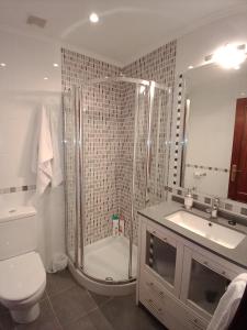 埃尔戈伊瓦尔Apartamento Ana Elgoibar con garaje的带淋浴、卫生间和盥洗盆的浴室