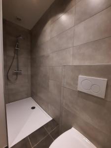 PoelkapelleDen Ast的浴室配有淋浴和卫生间。