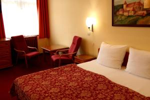布拉格Unitas Residence的酒店客房带床、椅子和窗户