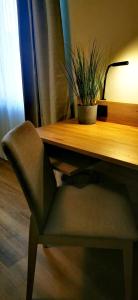 埃森Atelier Hotel Essen-City的木桌旁的椅子,植物
