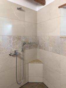 帕皮康Saxonis Houses & Saxonis Villa的带淋浴喷头的浴室