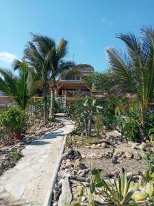 索里托斯Los Pinos de Zorritos Condominio的棕榈树海滩上的房子和小路