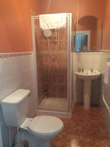 拉格斯布鲁姆旅馆的浴室配有卫生间、淋浴和盥洗盆。