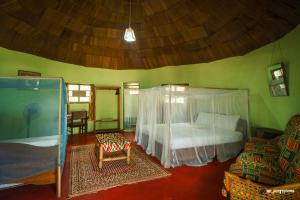 The Akwidaa Inn客房内的一张或多张双层床