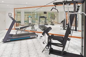 赫雷斯-德拉弗龙特拉雪莉公园时尚酒店的健身房设有数台跑步机和镜子