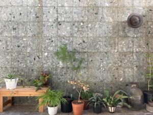 别府J-Hoppers Beppu Guesthouse ジェイホッパーズ別府ゲストハウス的木凳旁的石墙,有盆栽植物