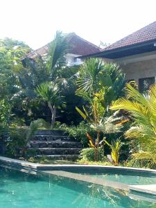 努沙杜瓦Pier26 Bali Homestay的一座带游泳池和棕榈树的房子