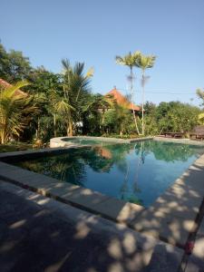 努沙杜瓦Pier26 Bali Homestay的棕榈树屋前的游泳池