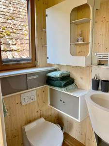马克多夫Biolandhof Bodensee的一间带卫生间和水槽的浴室