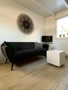 比伦De Vrije wil的客厅配有黑色沙发和电视