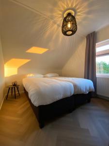 比伦De Vrije wil的一间卧室设有一张带天花板的大床