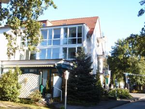 利普施塔特克鲁森霍夫酒店的前面有一棵树的房子