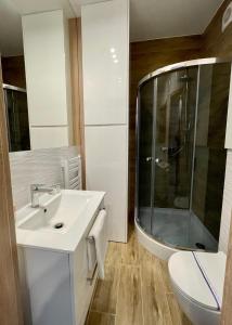 罗兹Apartamenty Sokola的一间带水槽、淋浴和卫生间的浴室