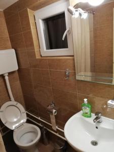 里巴斯卡班亚Sobe i apartmani Simic的一间带卫生间、水槽和镜子的浴室