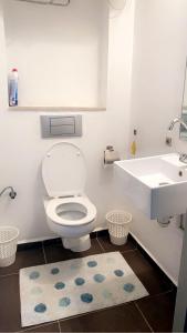 马拉喀什Gueliz YSL的一间带卫生间、水槽和地毯的浴室
