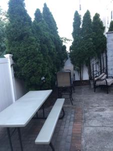 布鲁克林Brooklyn's Finest - Cozy 2 Bedroom的绿树成荫的庭院上的一个白色长椅