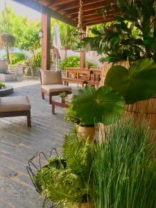 拉梅戈卡萨乐洛基代索勒酒店的种有植物和长凳的庭院