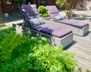 拉梅戈卡萨乐洛基代索勒酒店的两把藤椅坐在种有植物的庭院里