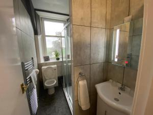 道格拉斯堡Ernespie House Hotel的一间带水槽和卫生间的浴室以及窗户。