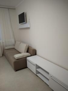 乌曼岛Modern appartment near Sofievka的带沙发和电视的小客厅
