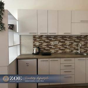 ZOE apartment的厨房或小厨房