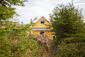 托尔斯港Red Robin - Vacation homes next to Svartifossur waterfall的树上可以看到黄色的房子