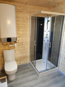 SinglyChalet 6 personnes à la campagne的一间带卫生间和淋浴的浴室