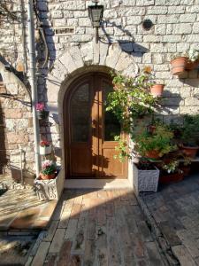 阿西西Le Casette di Franco & Anna的石屋前门,石屋有盆栽植物