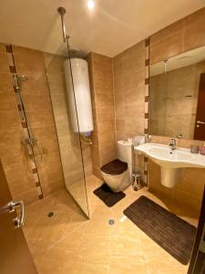 拉兹洛格Sunny duplex with spectacular view in Terra Complex的带淋浴、卫生间和盥洗盆的浴室