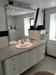 赫伯格Passage des Romains studio的一间带水槽和大镜子的浴室