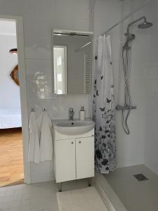 奥泰佩Pühajärve residents的白色的浴室设有水槽和镜子
