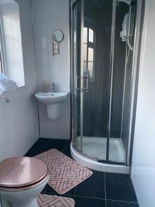 贝辛斯托克Tower Hill House Basingstoke的带淋浴、卫生间和盥洗盆的浴室