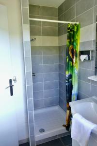 欧龙勒布莱农酒店的带淋浴和盥洗盆的浴室