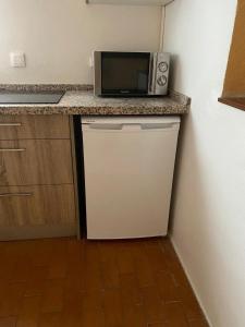 科尔多瓦科尔多瓦千色公寓 的厨房配有冰箱上方的微波炉