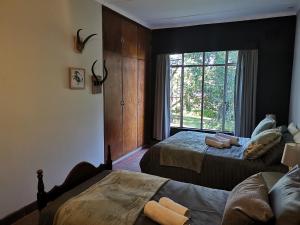 温特顿Drakensberg Bush Lodge and Backpackers的一间卧室设有两张床和窗户。