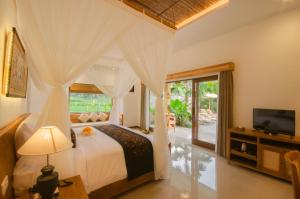 乌布Govala Ubud Villas & SPA的一间卧室设有一张床、一台电视和一个窗口。