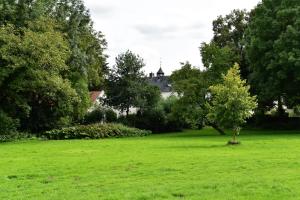贝克De Oude Limonadefabriek的田野中的一棵树,房子在后面