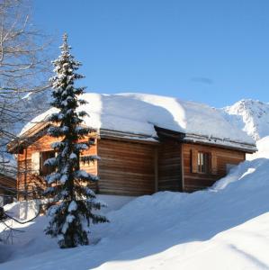 阿罗萨Chalet Höckli Wohnung 2.的雪地中的小木屋,有圣诞树