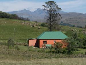 萨尼山口Sani Lodge Self-Catering Cottages Sani Pass South Africa的田野上带绿色屋顶的红色谷仓