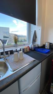 哈德斯菲尔德bvapartments-Queensgate 2的带水槽的厨房台面和窗户