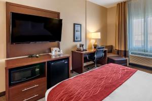 大瀑布城大瀑布康福特茵酒店 的配有一张床和一台平面电视的酒店客房