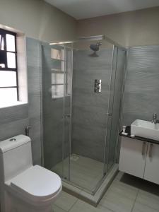 奈瓦沙El Sueno Homestay的带淋浴、卫生间和盥洗盆的浴室