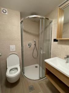 亚霍里纳Hotel San的带淋浴、卫生间和盥洗盆的浴室