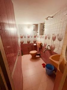 阿姆波尔Samantha Inn Beach Resort的一间带卫生间和水槽的浴室