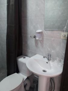 梅斯蒂亚Guest House Mari30的浴室配有白色卫生间和盥洗盆。